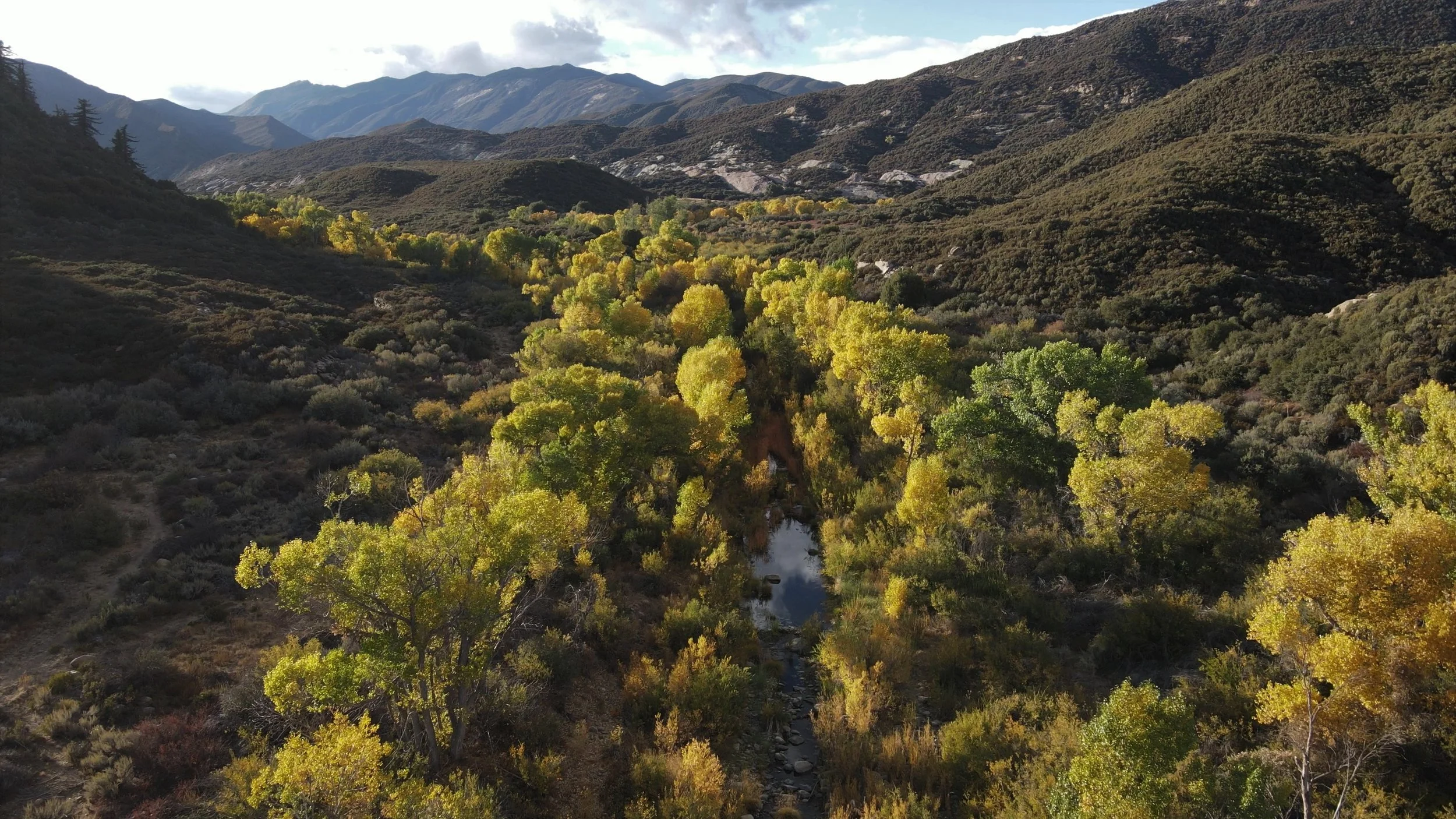 Aerial view of a lush valley with vibrant fall foliage, featuring a small stream running through green and yellow trees, surrounded by mountains.