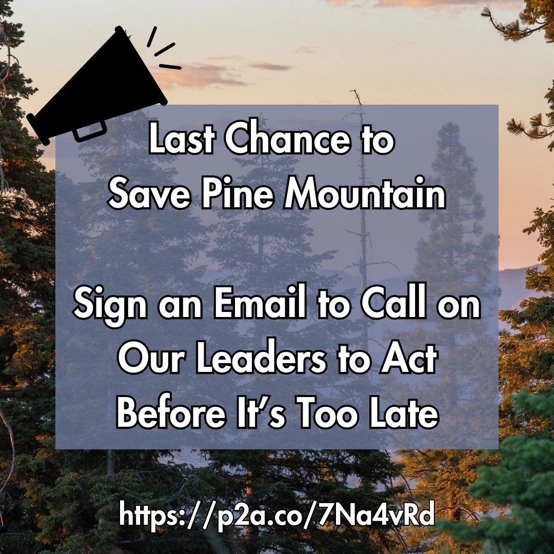 Last Chance to Save Pine Mountain: Call on Our Leaders to Act Before It&rsquo;s Too Late

LINK: https://p2a.co/7Na4vRd
Link also in bio!!!

Pine Mountain is at risk. The federal court has cleared the way for an unnecessary and destructive logging and