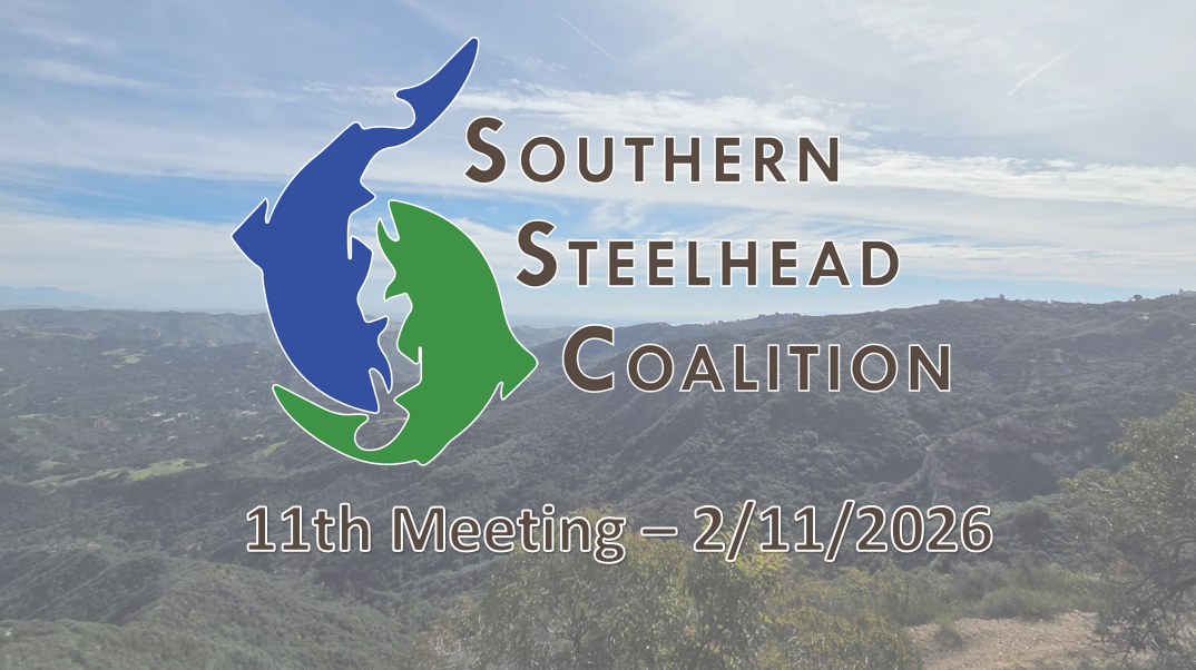 11th SSC Meeting Archive