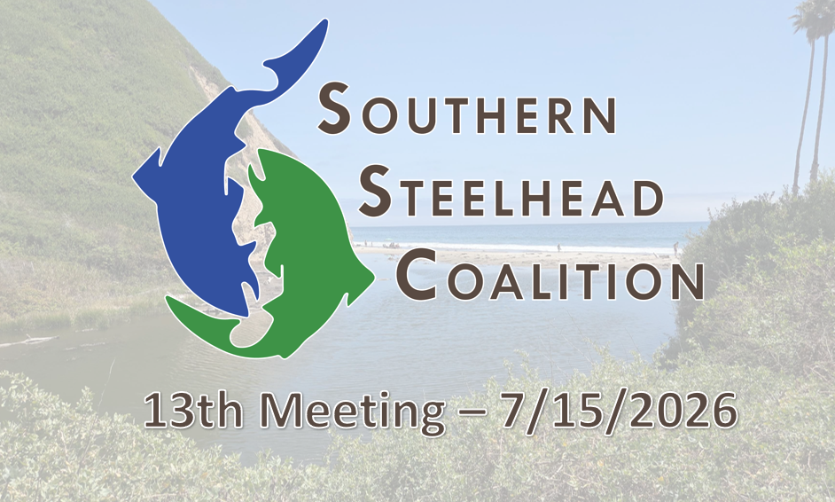 13th SSC Meeting Archive