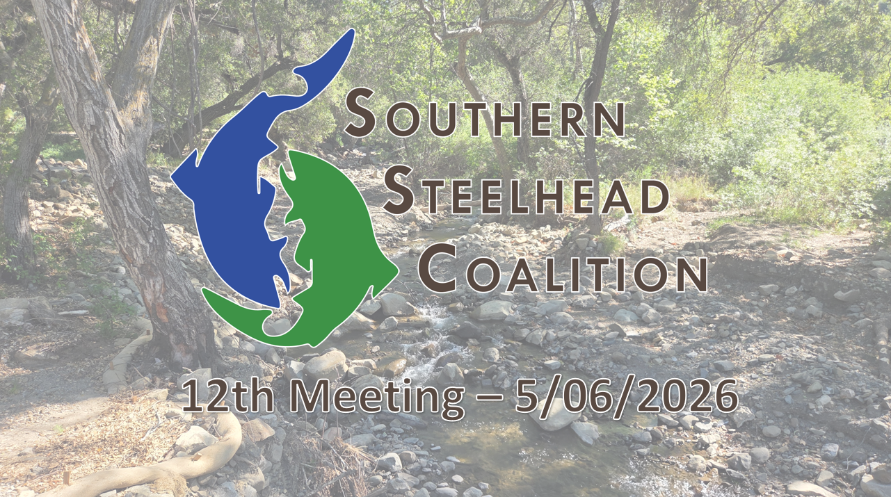 12th SSC Meeting Archive