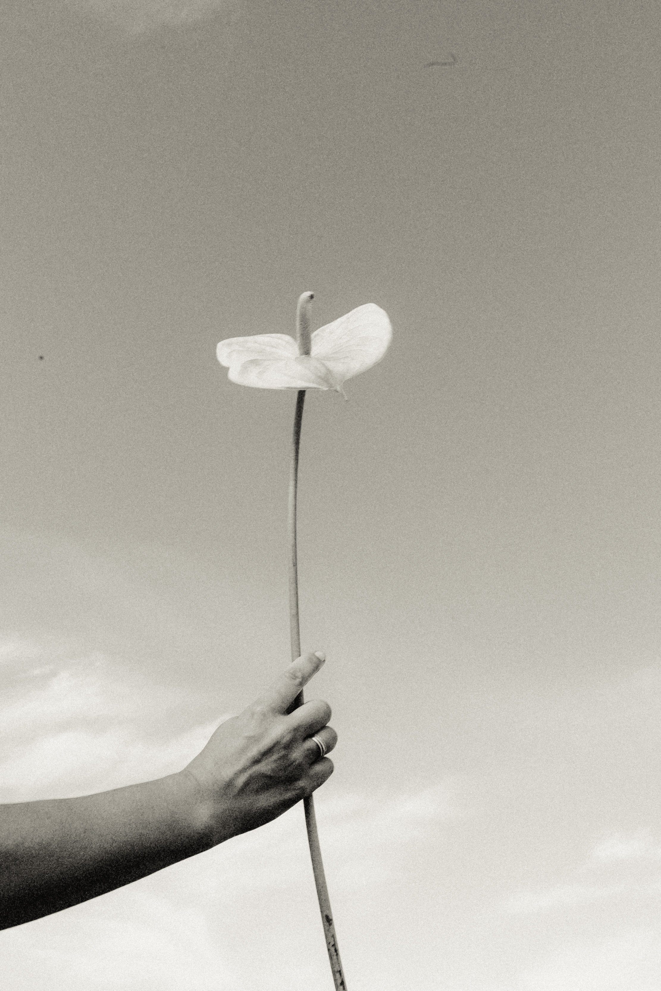 BreeMelansonxTahitiKulia-23 2.JPG