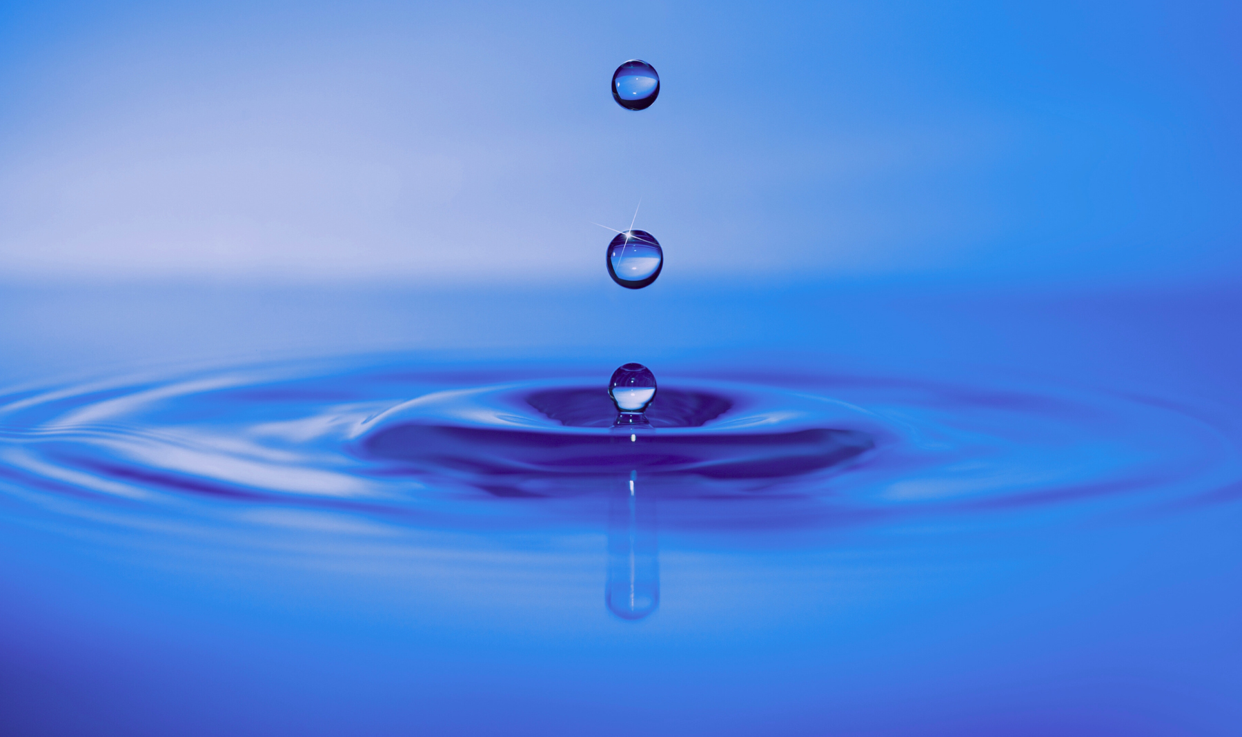 Women's Tahara Training and Refresher