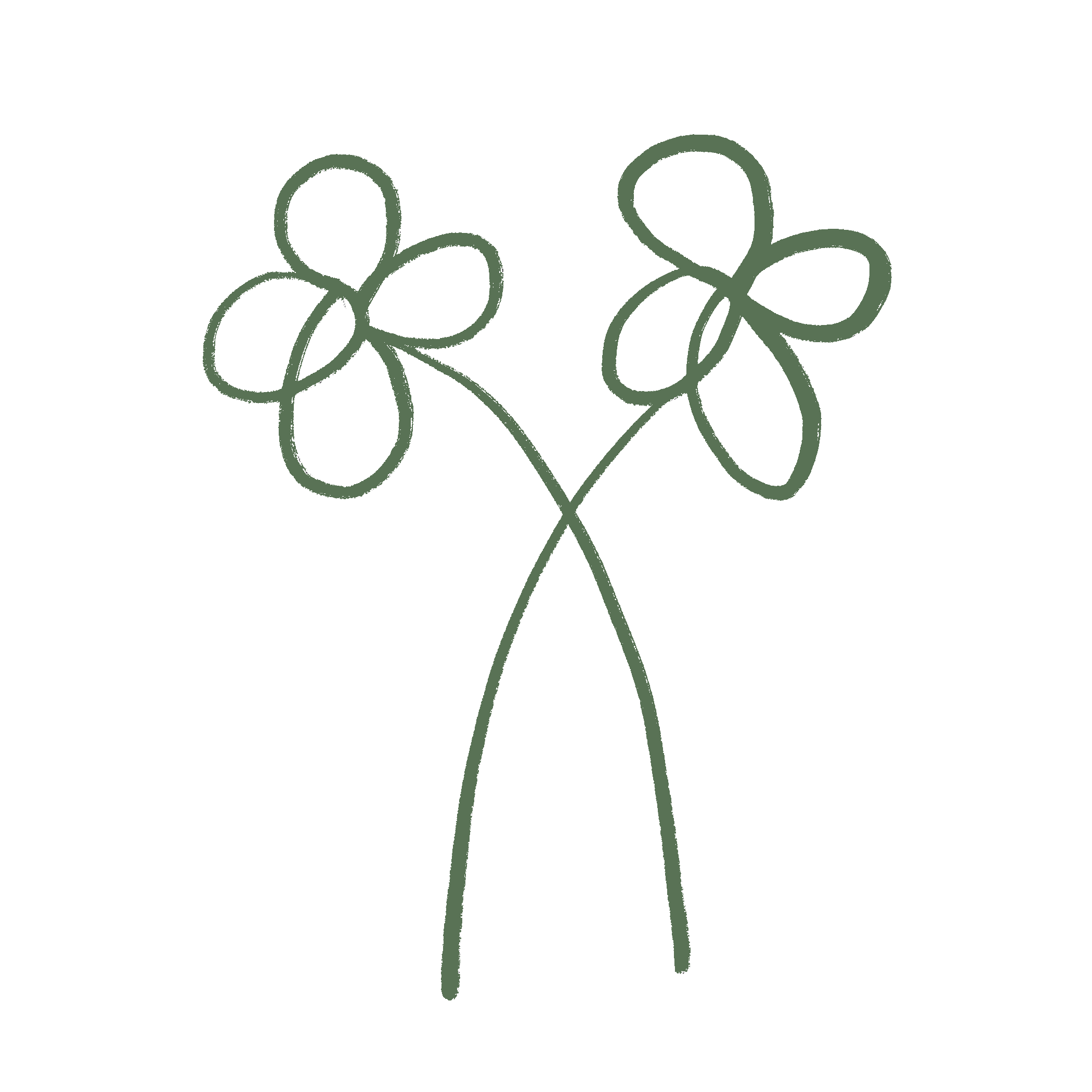 Two outlined flowers with curved petals crossing each other on a black background.