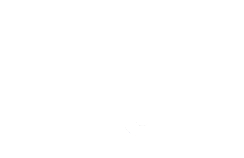 Kitty Yoga