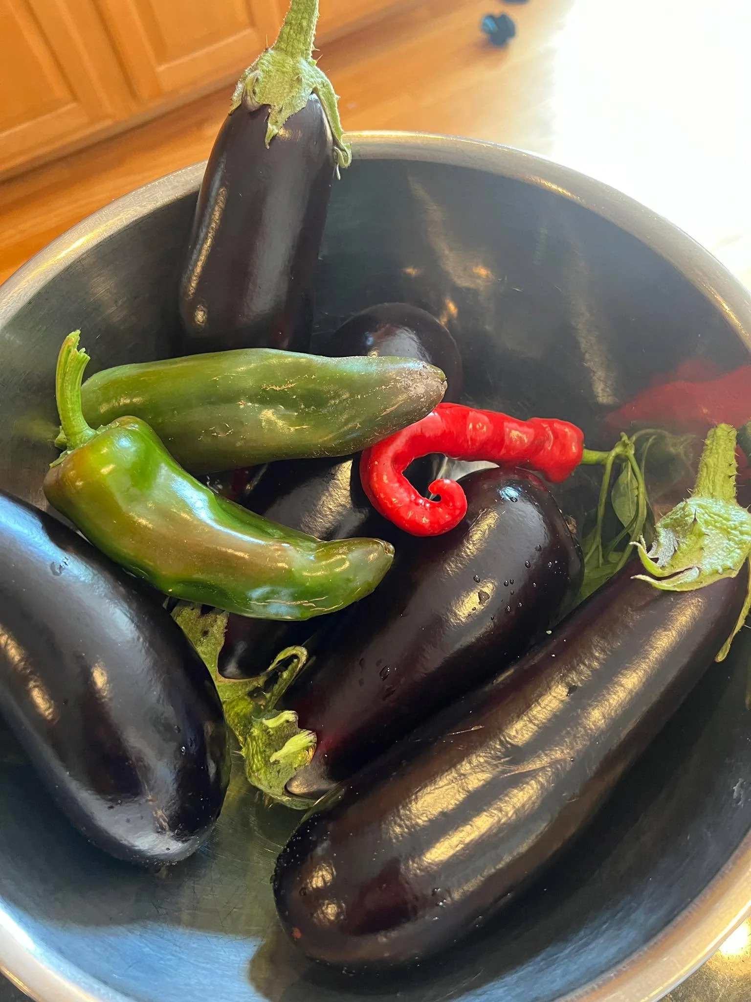Garden Love.💕 
Cucumbers and tomatoes are already got eaten&hellip; 🥒🍅🙈