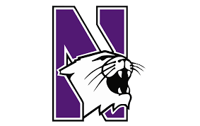 northwestern meow.png