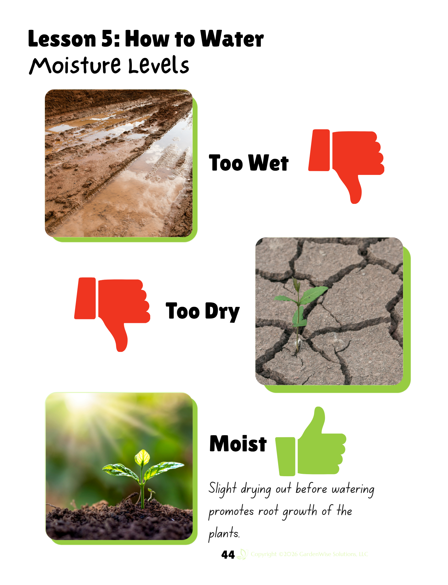 how to water.png