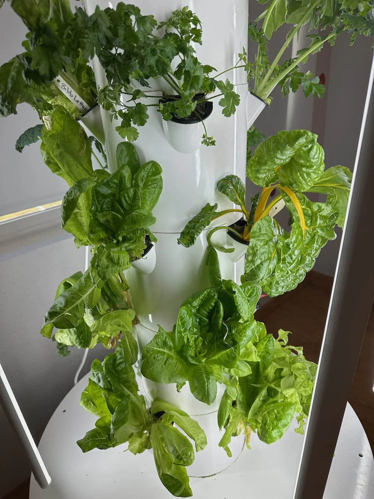 Hydroponic Gardens