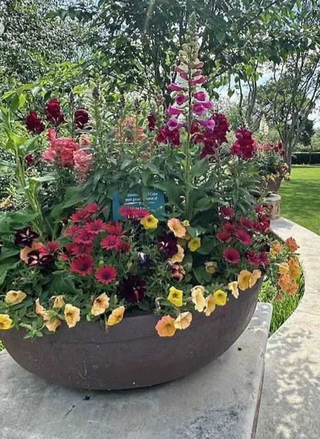 Container Gardening:       Gardens That Move!