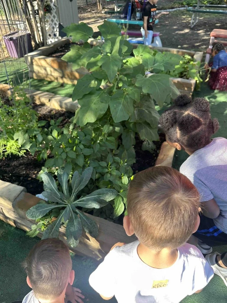 Gardening with Young Children: Expect Dirt, Wonder, and a Little Bit of Chaos