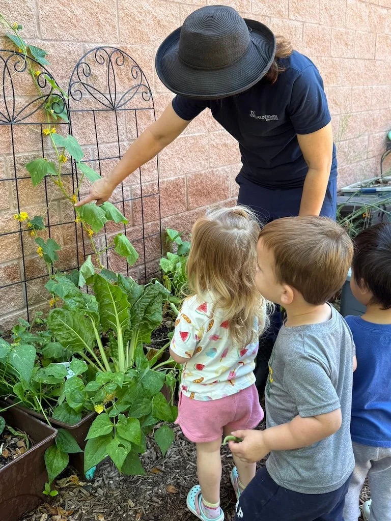 The First School Garden Lesson: Planting Seeds of Wonder This Fall