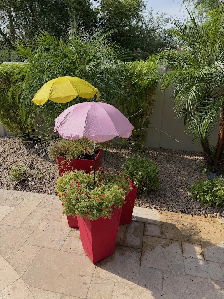 Shade Cloth: Your Vegetable Garden’s Summer Umbrella