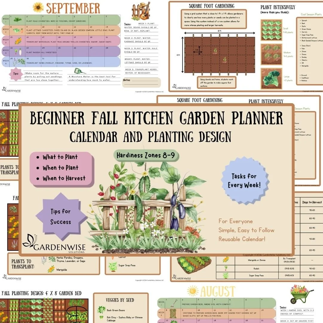 Beginner Fall Kitchen Garden Planner