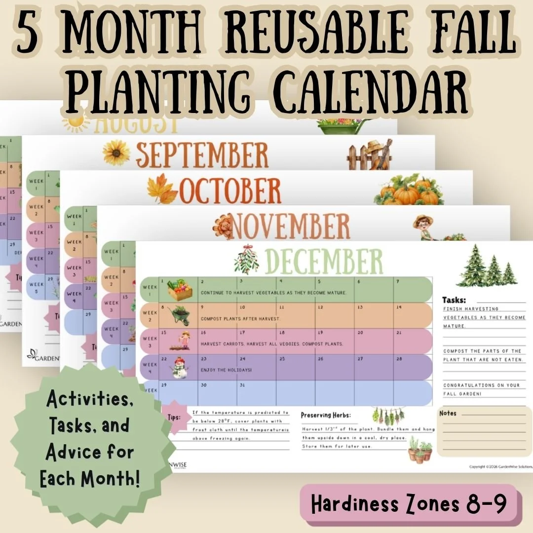 Beginner Calendar listing photos (1).jpg