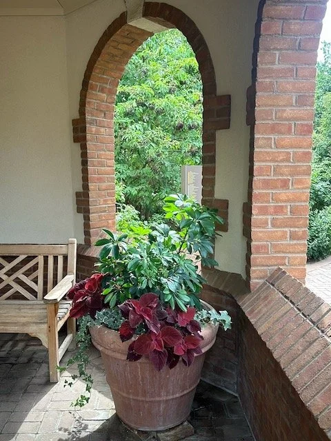 container garden with coleus and shade plants demonstrating beautiful design