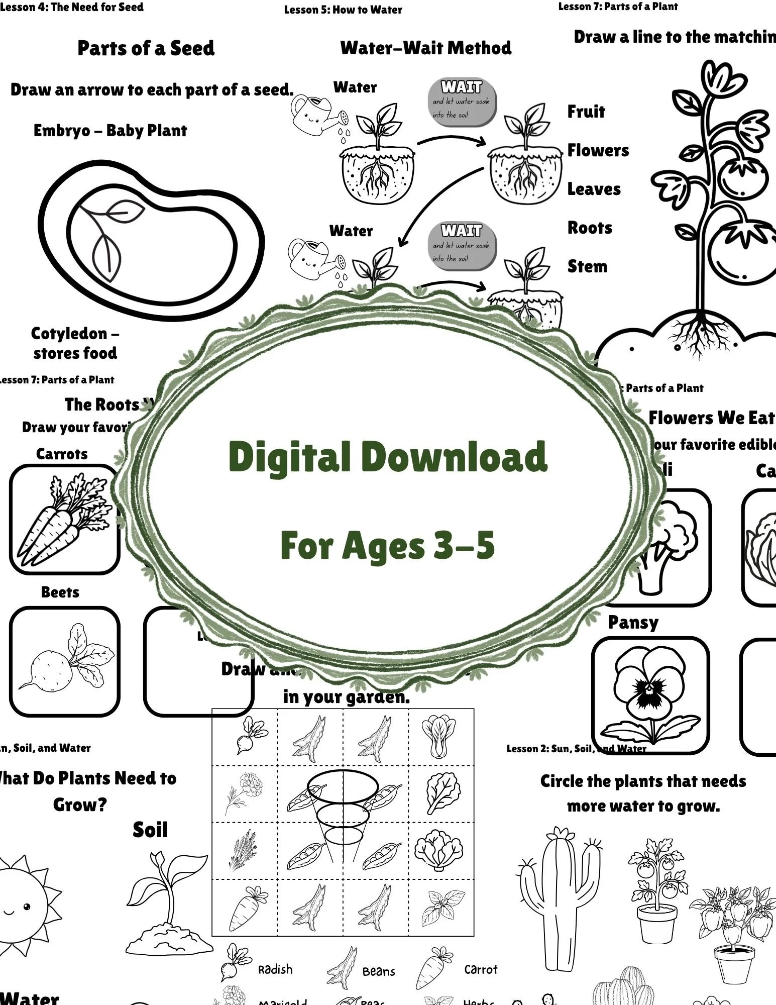 The Basics Activities book listing 3.jpg