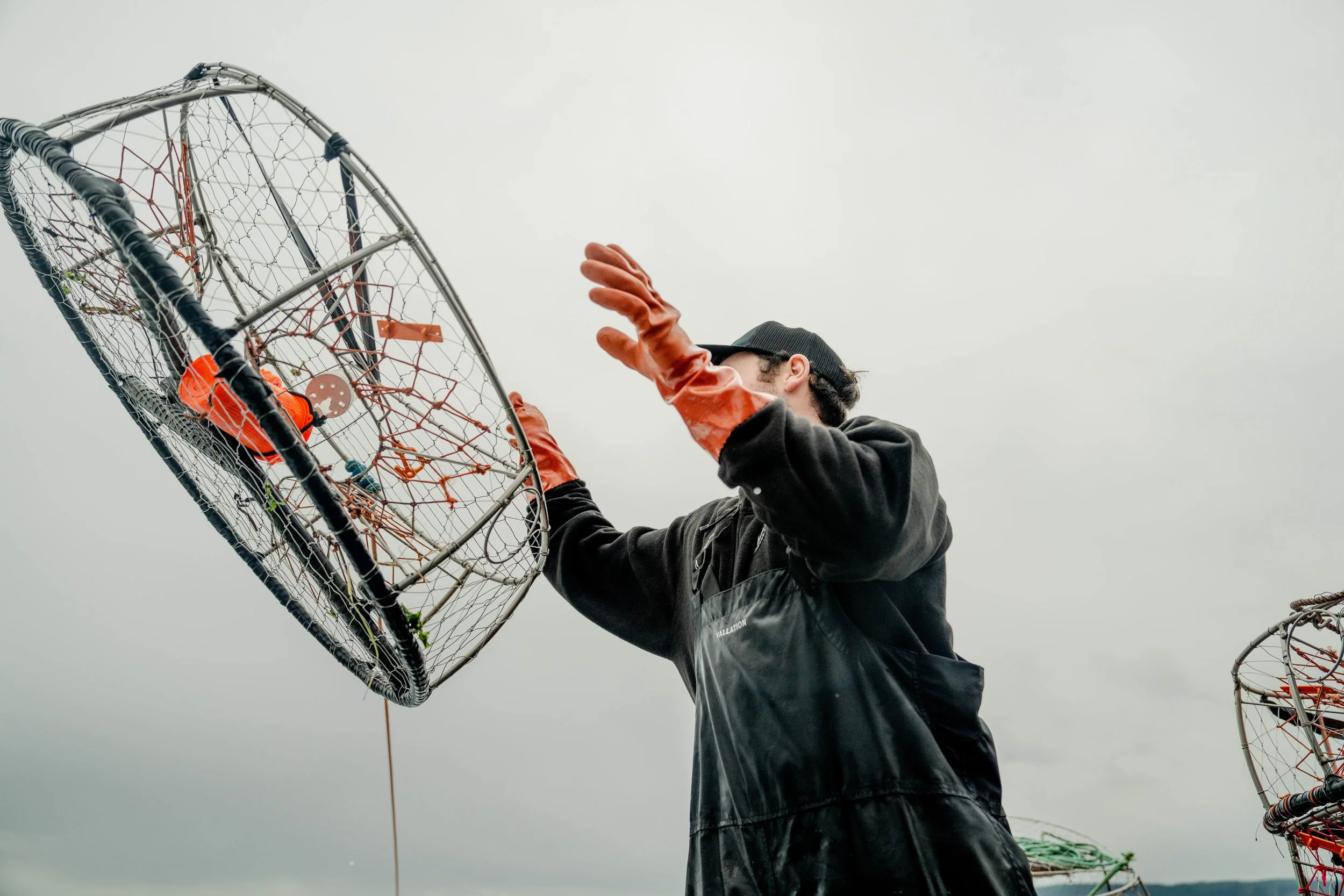 A person wearing a black jacket, black cap, and orange gloves is handling a circular crab trap on a cloudy day.