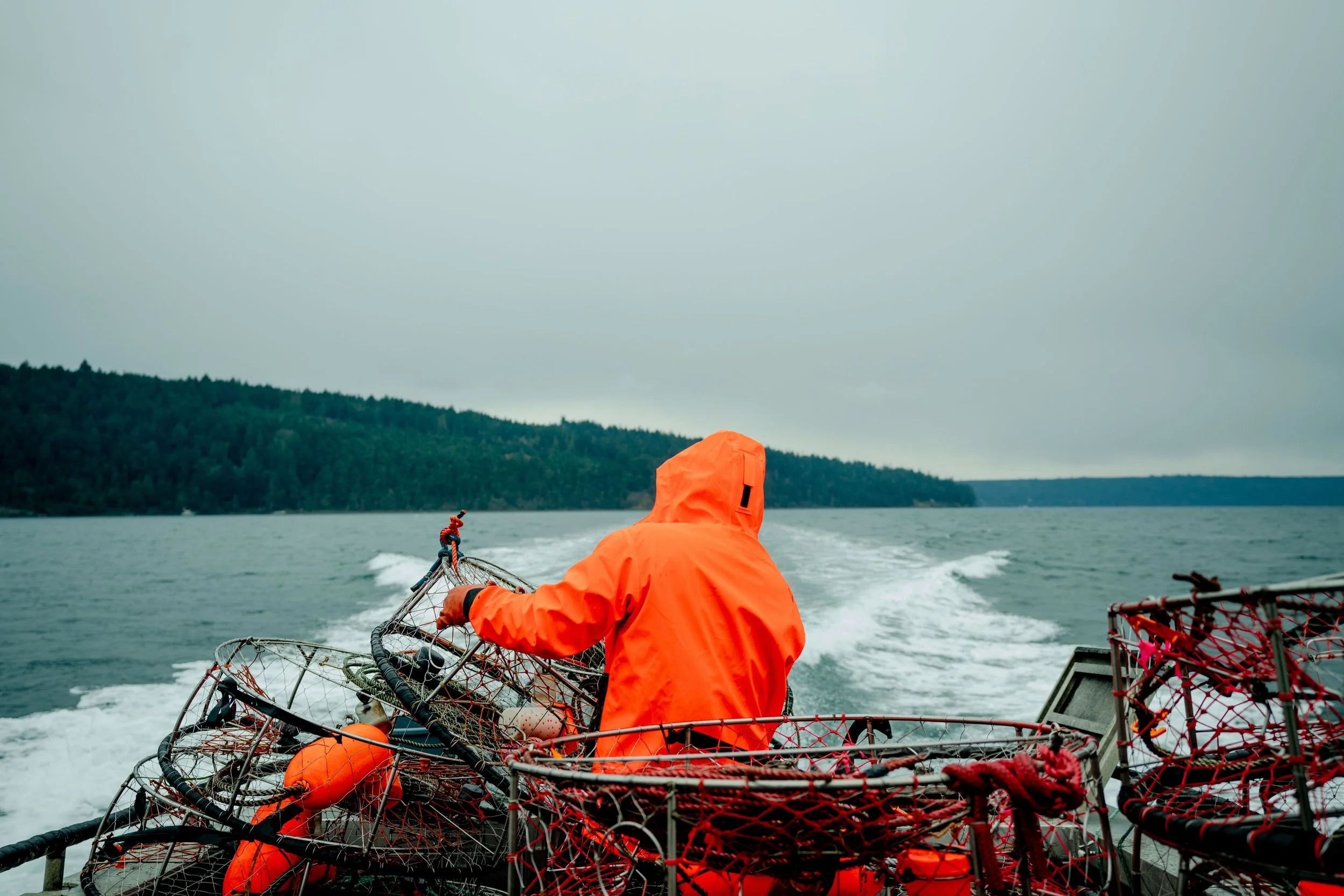 Person in an orange waterproof jacket steering a boat with crab traps and orange buoys on a body of water under a cloudy sky.