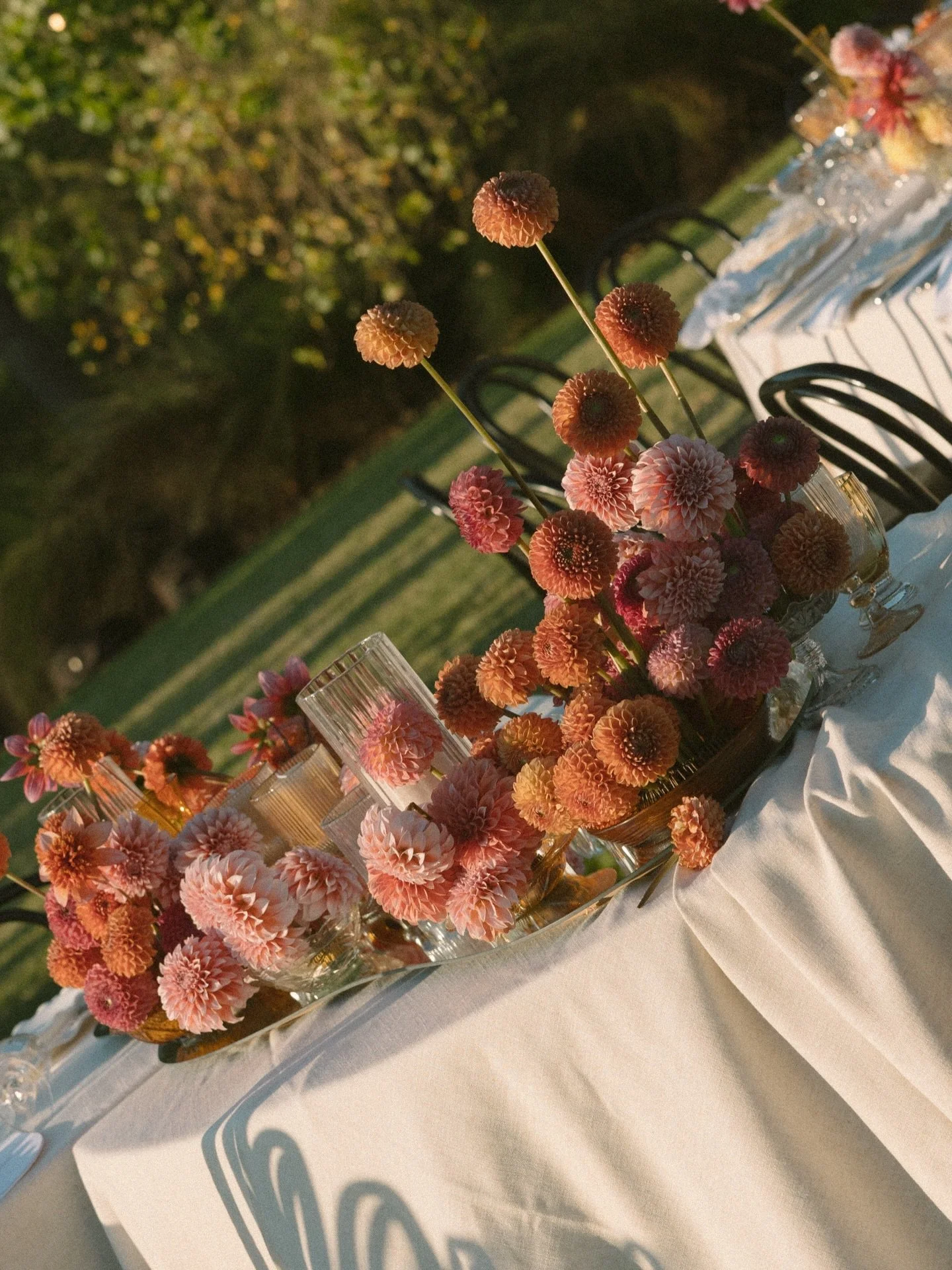 Liz + Marc. | Bobbejaansberg for @_anne.mann_ 

/moments captured by @stil_weddings 

with
@ayeh.kphotography 
@bradjackson.studio 
@altijd_janagouws 
@algriax
@jeanettegenis 
@fsharp_music
@asapstaffingcpt 
@salutesa 
@johnjoseph_foodanatomy