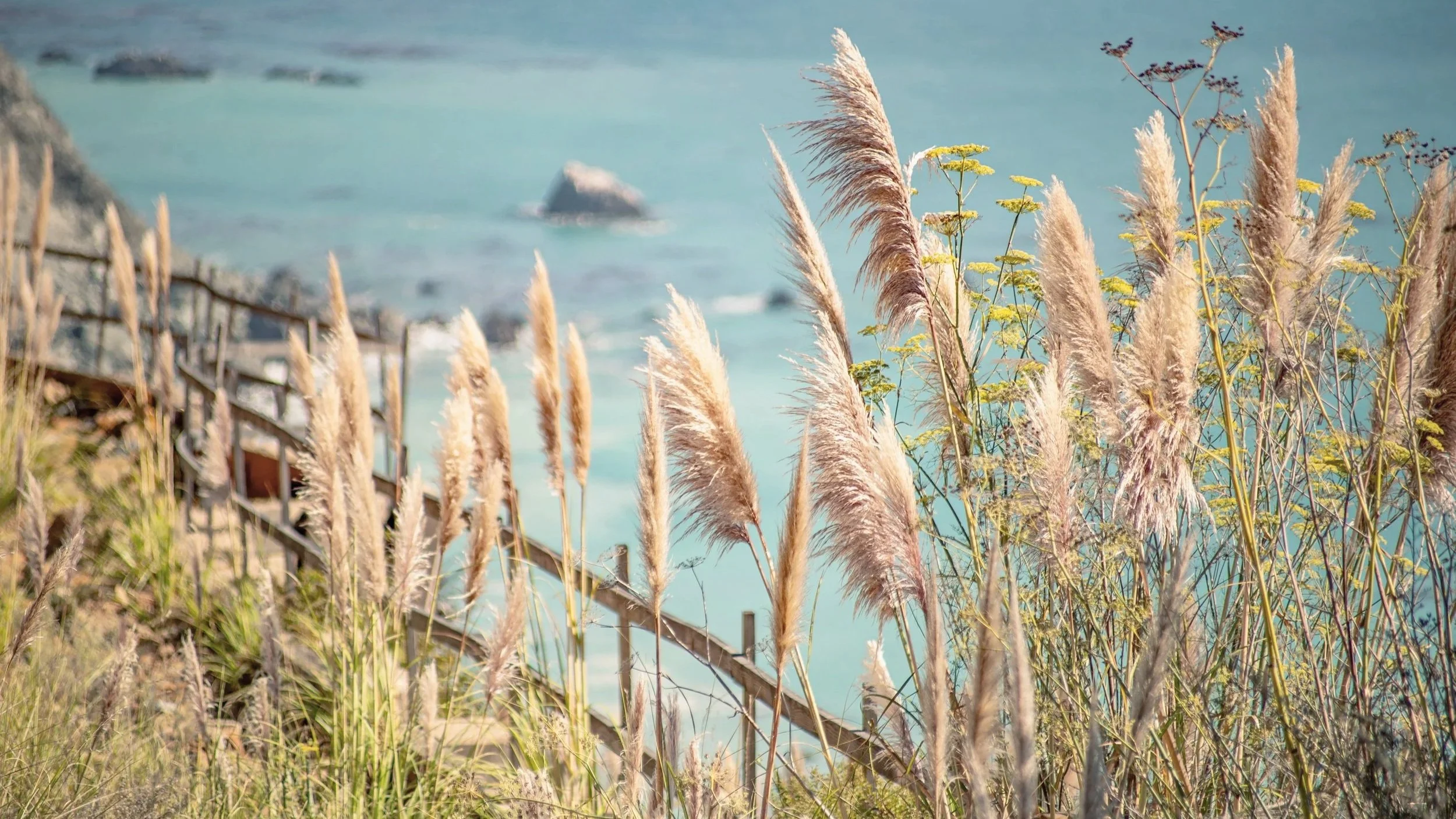 View of the coastline and ocean along the Surf Coast, Victoria.