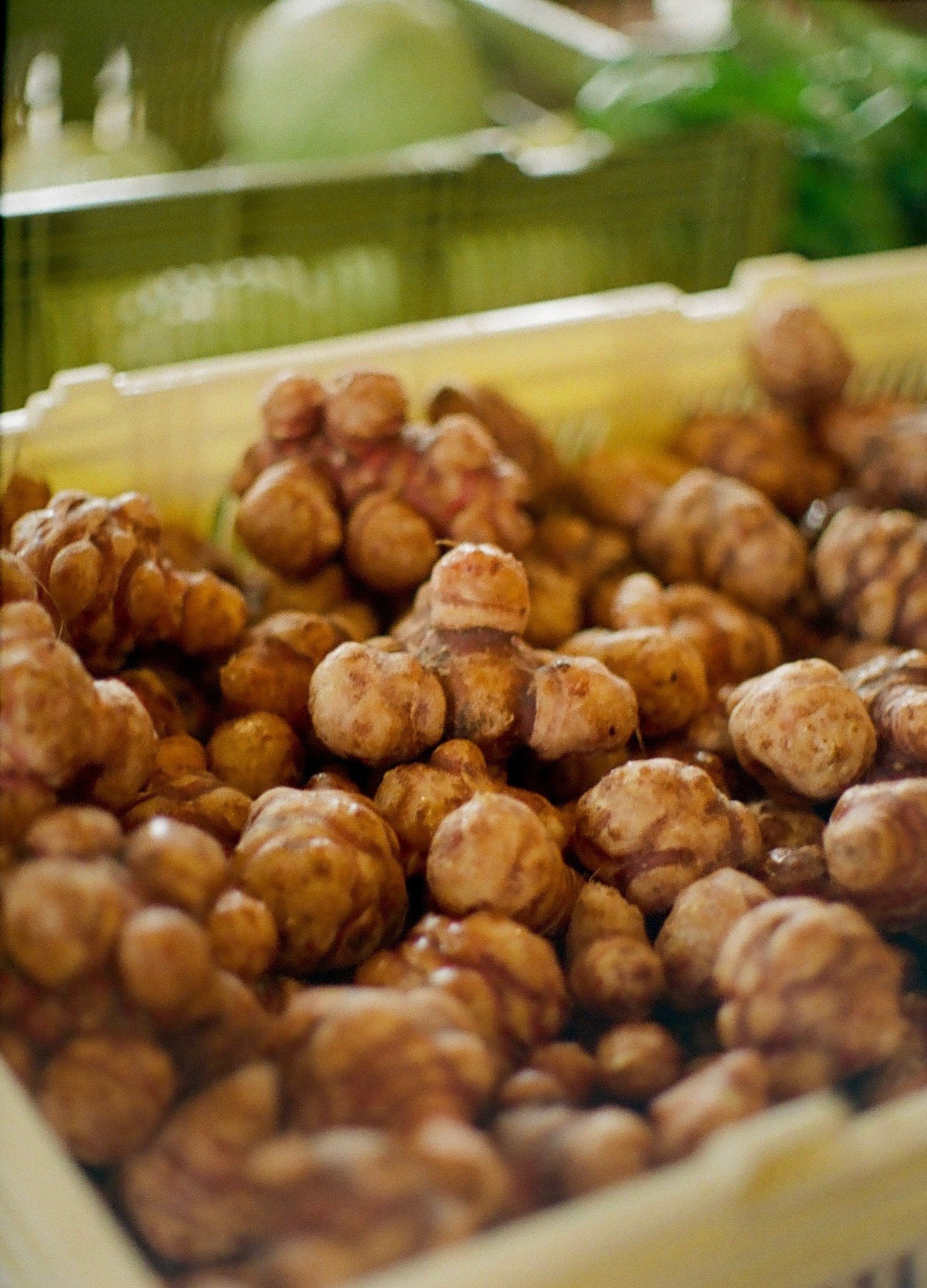 Topinambour bio