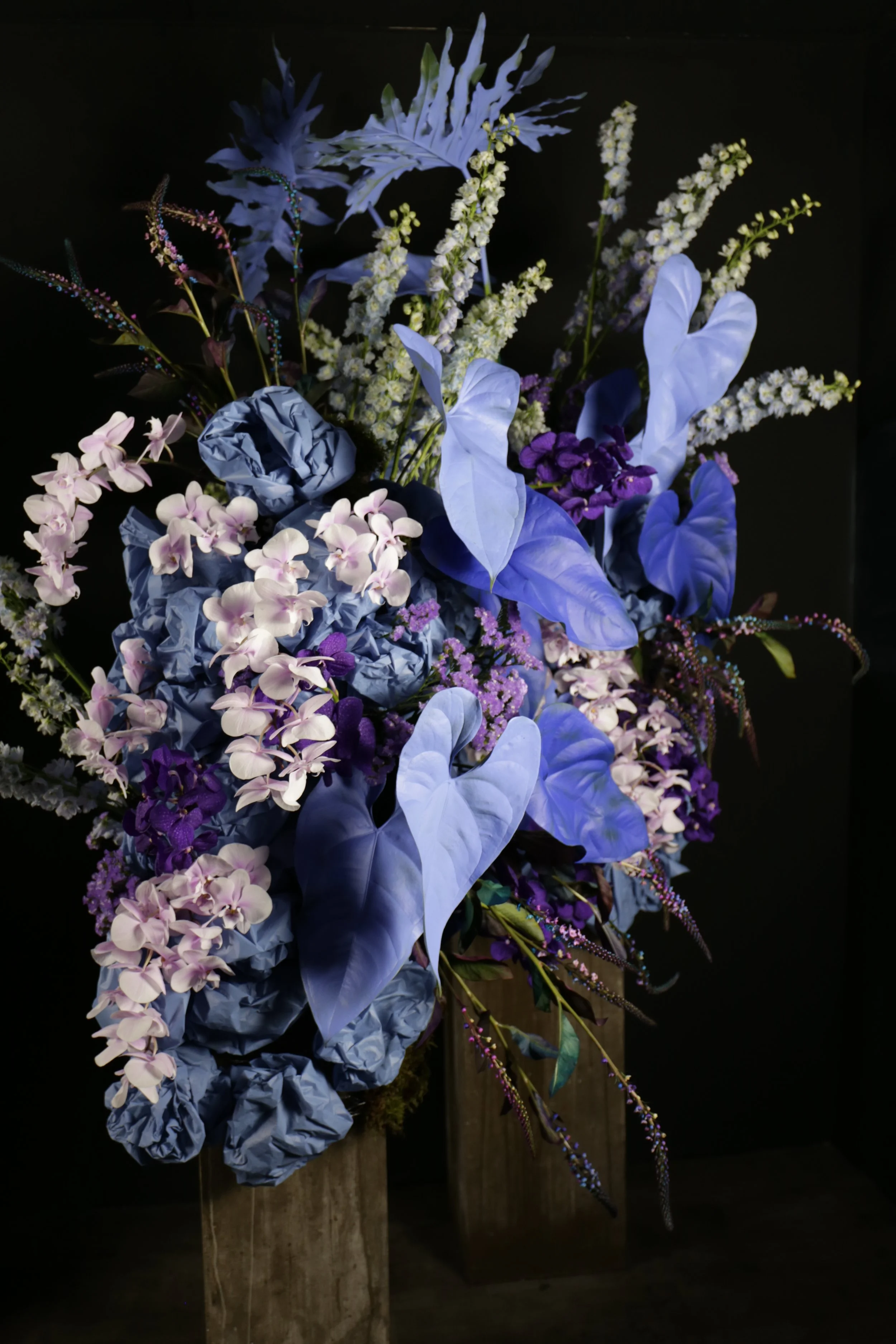 IMG_3558.JPG (copia)