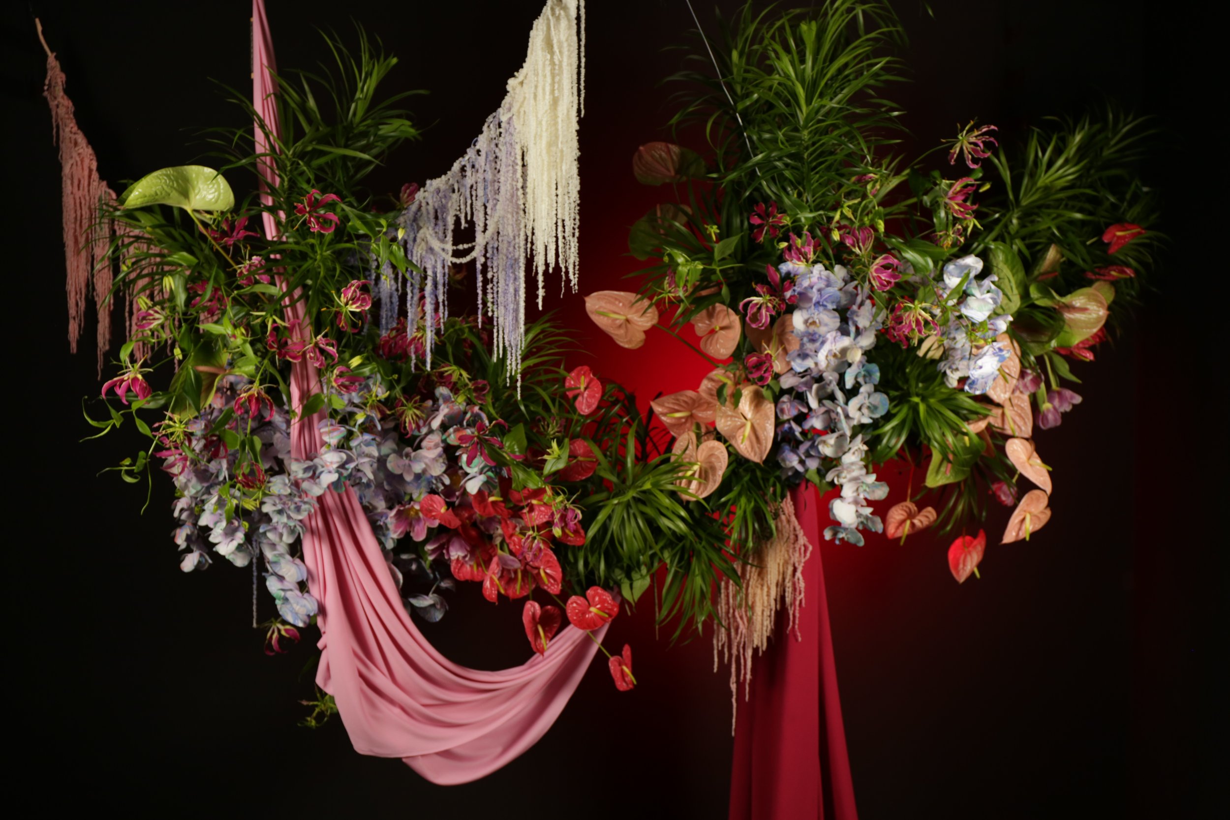 IMG_3720.JPG (copia)