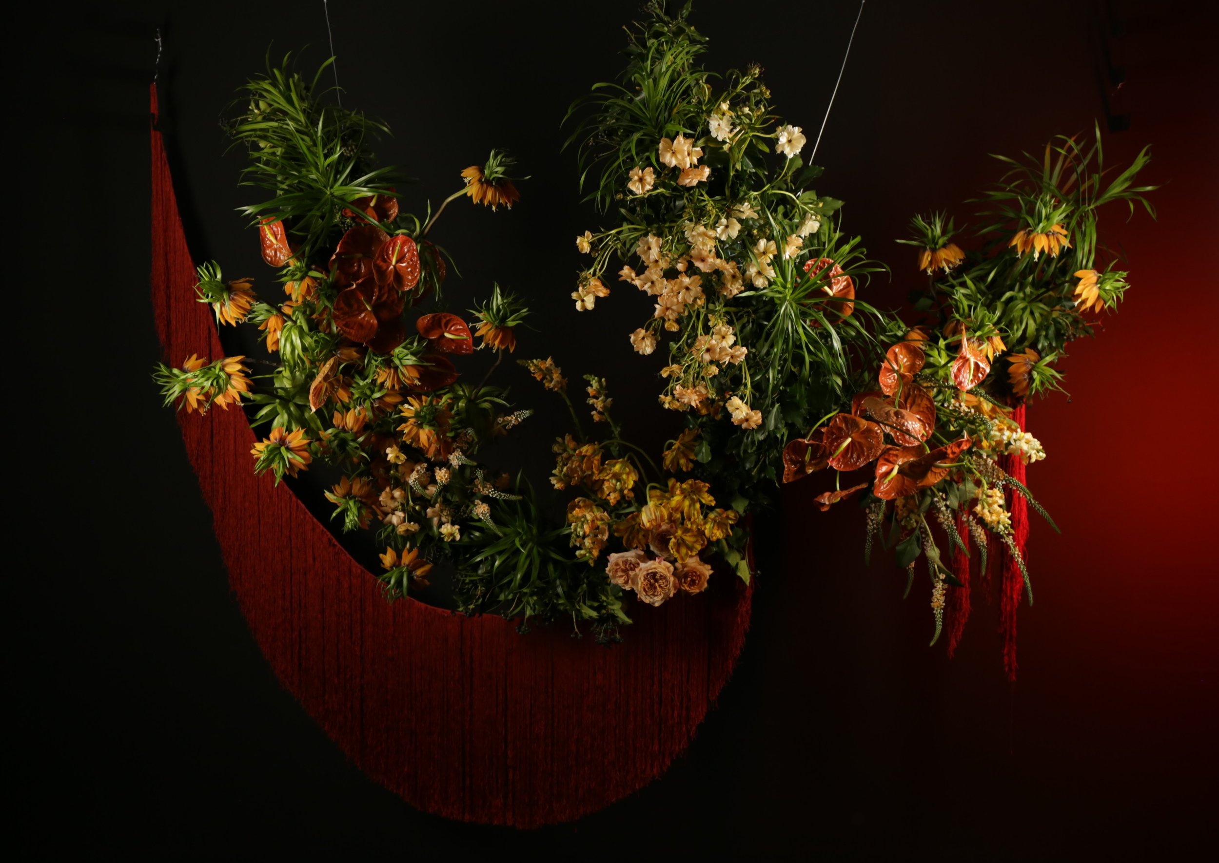 IMG_4175.JPG (copia)