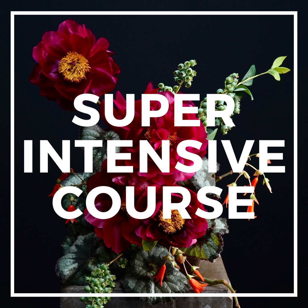 Ramo de flores con fondo negro y texto que dice "Curso intensivo súper".