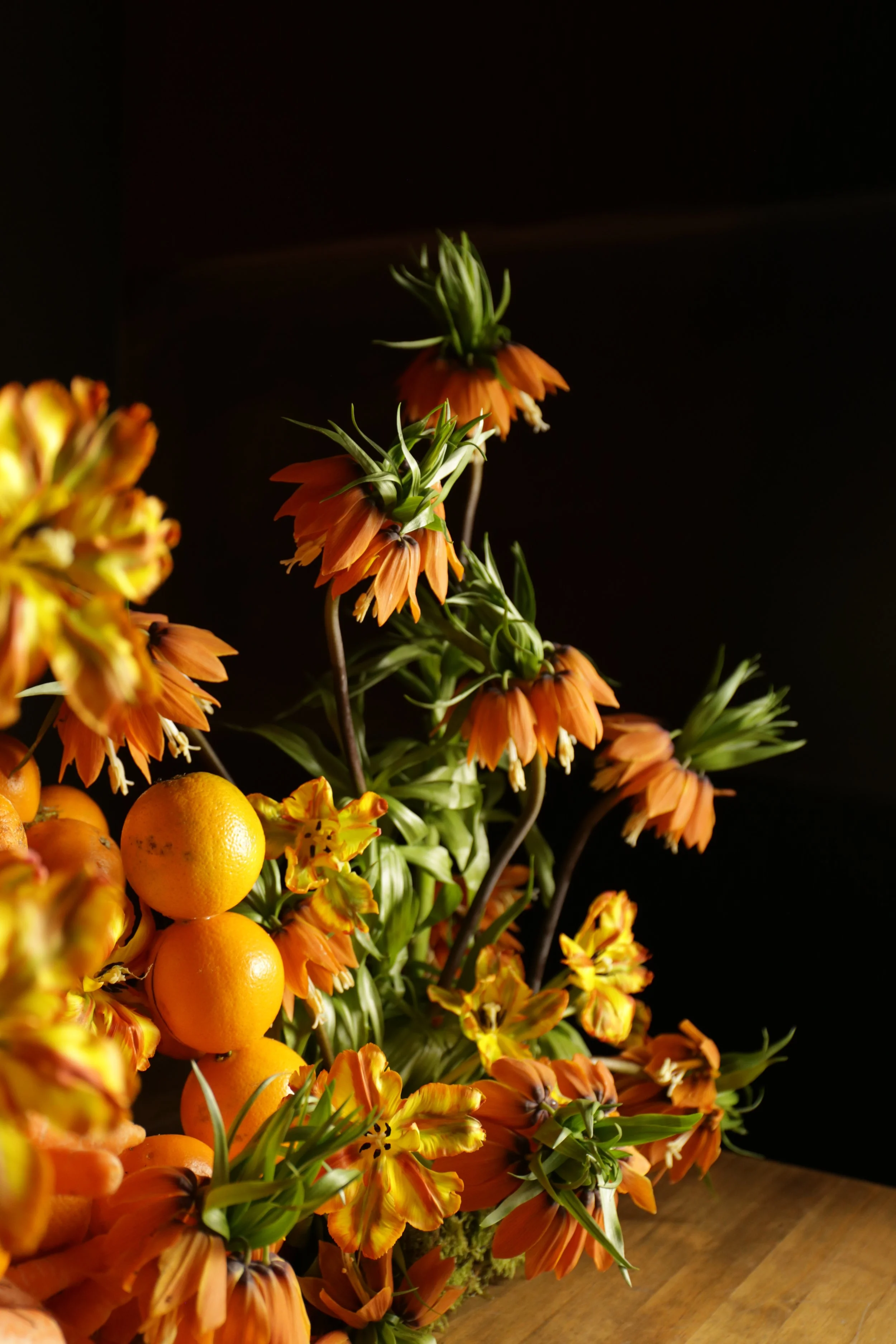 IMG_4005.JPG (copia)