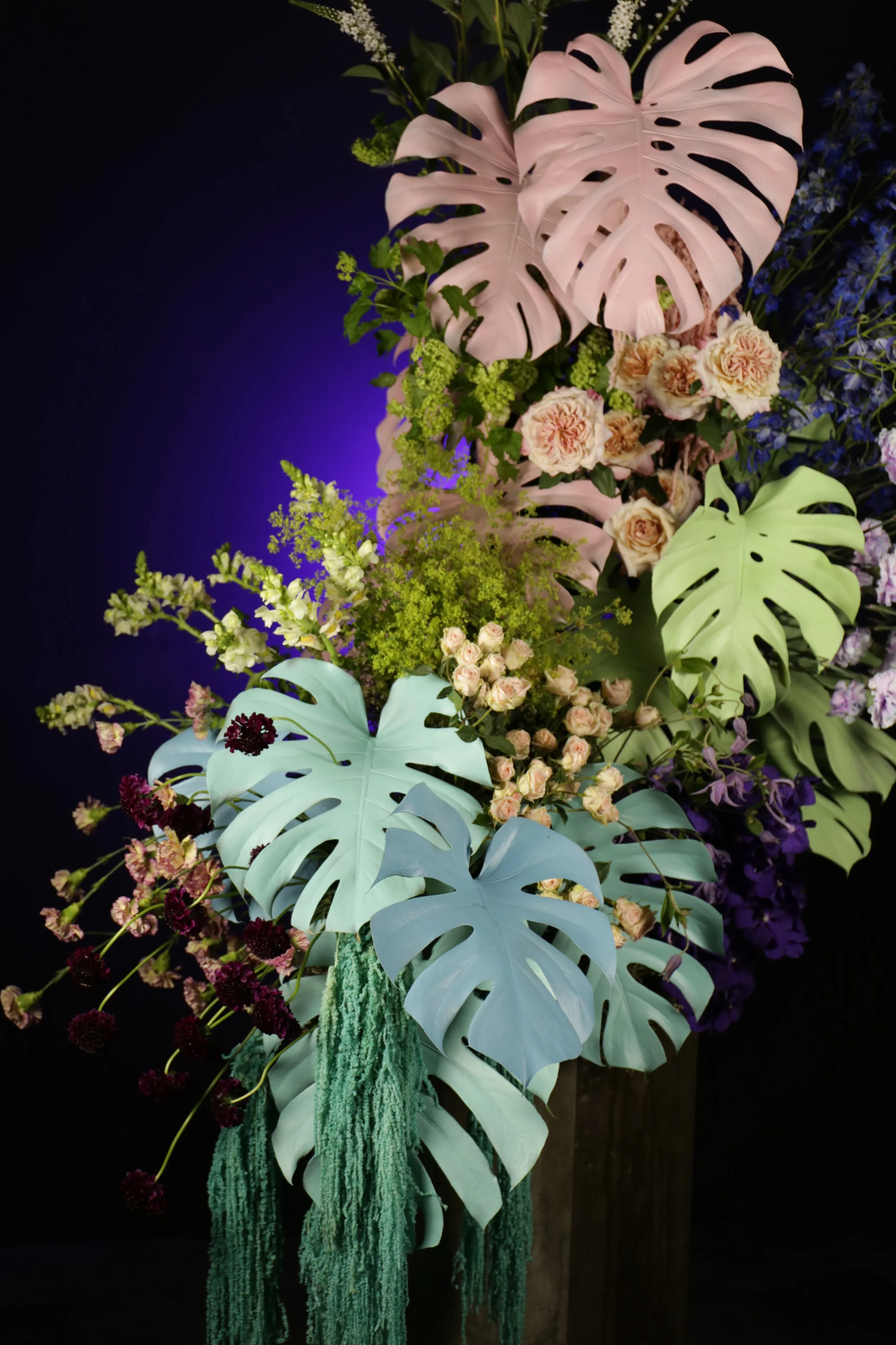 IMG_4139.JPG (copia)