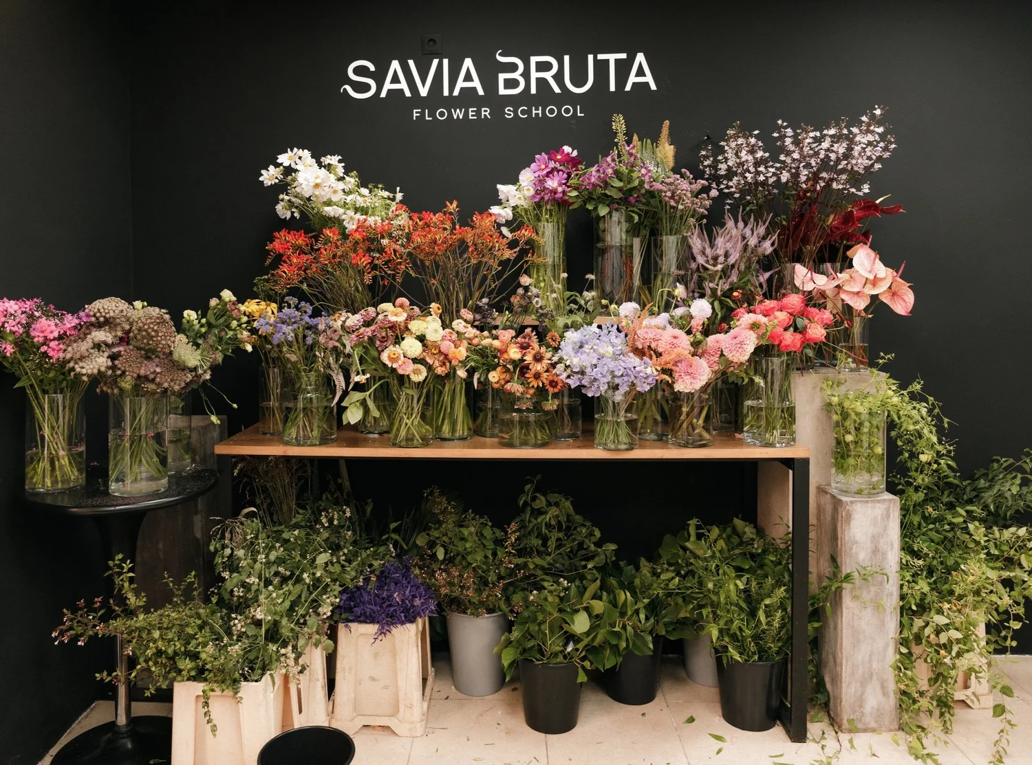 Vitrina de la escuela Savia Bruta Flower School
