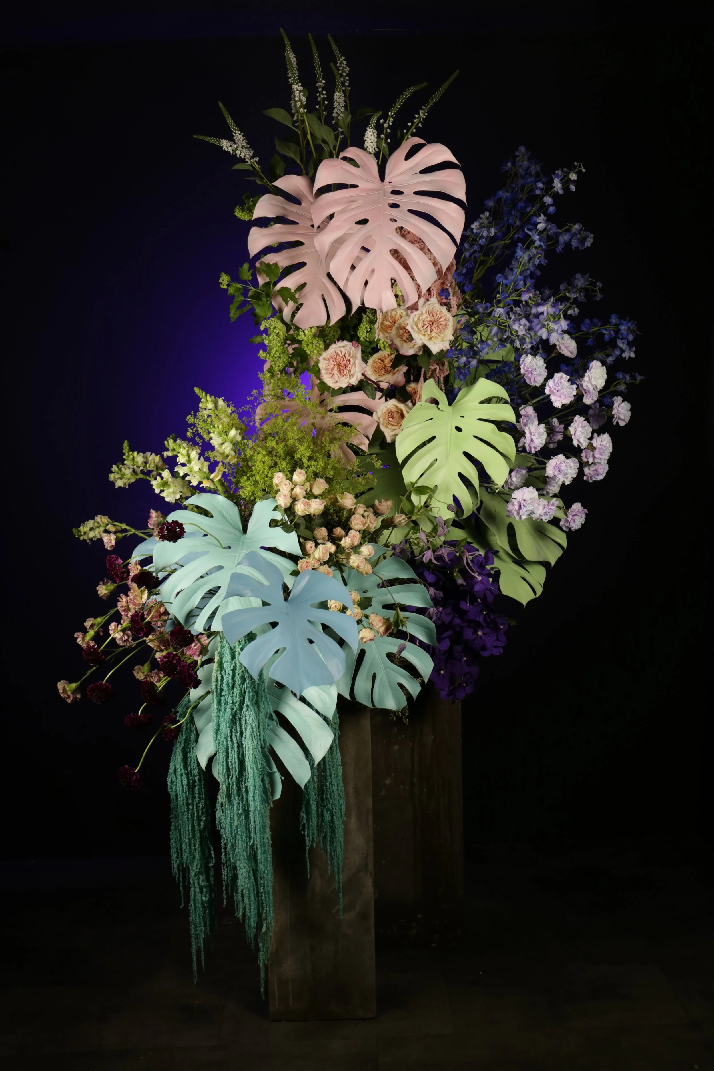 IMG_4133.JPG (copia)