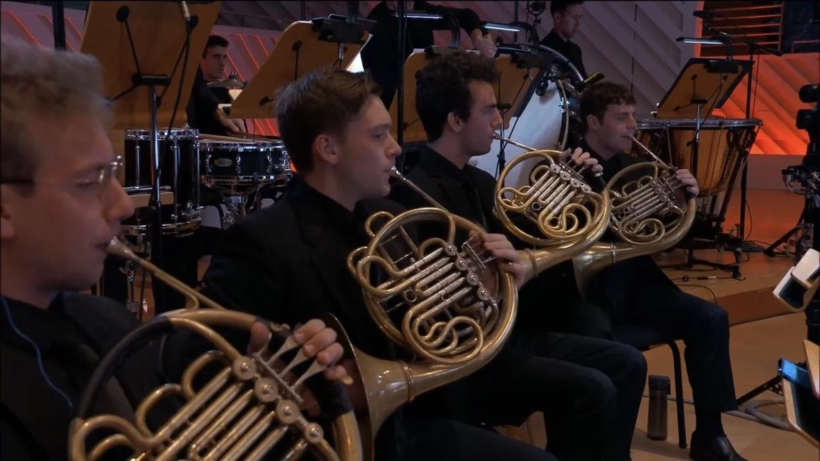 Spencer offers engaging, personalized, and goal-oriented online French horn lessons at a reasonable price.