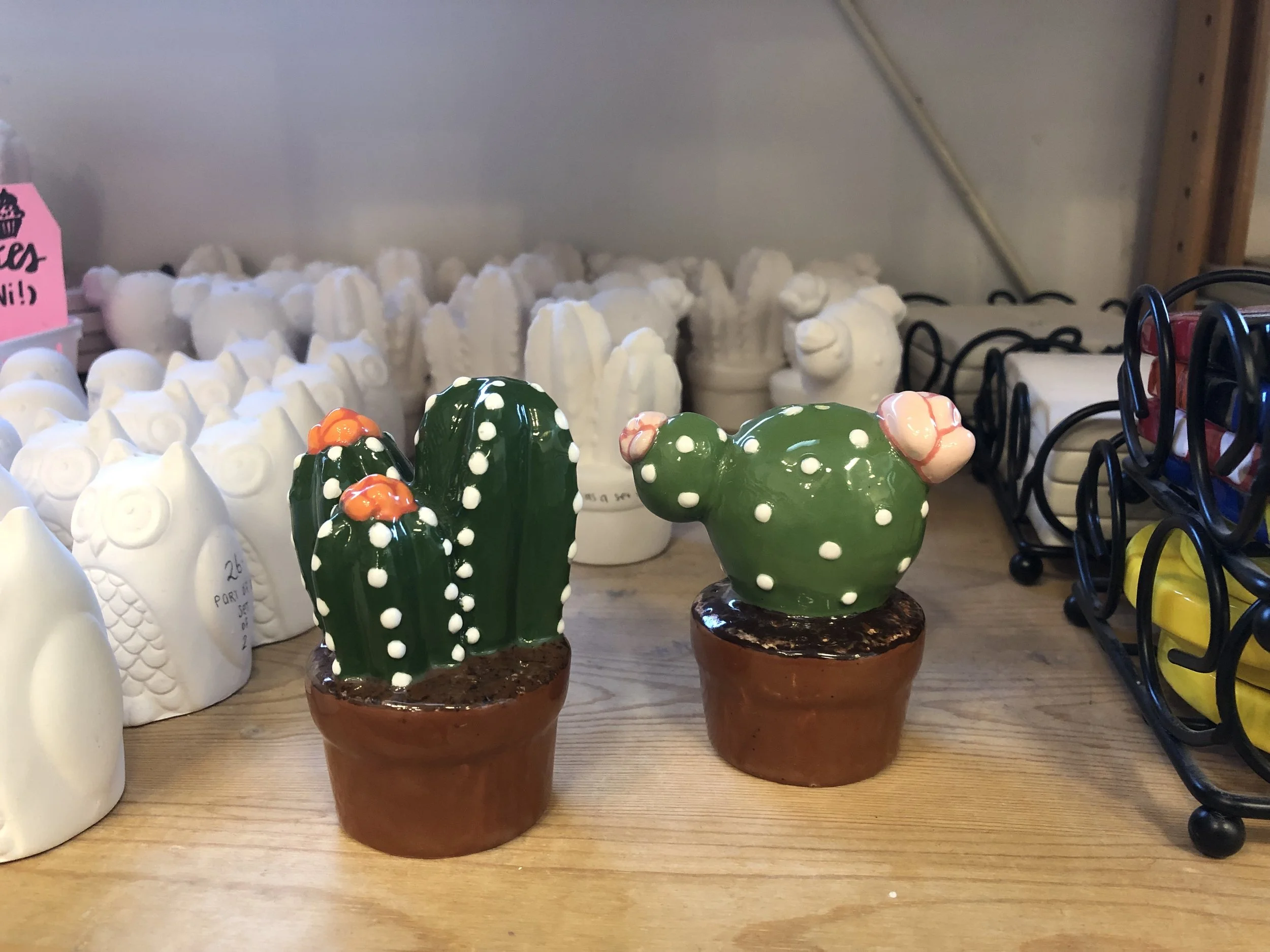 cactus-sp.jpeg