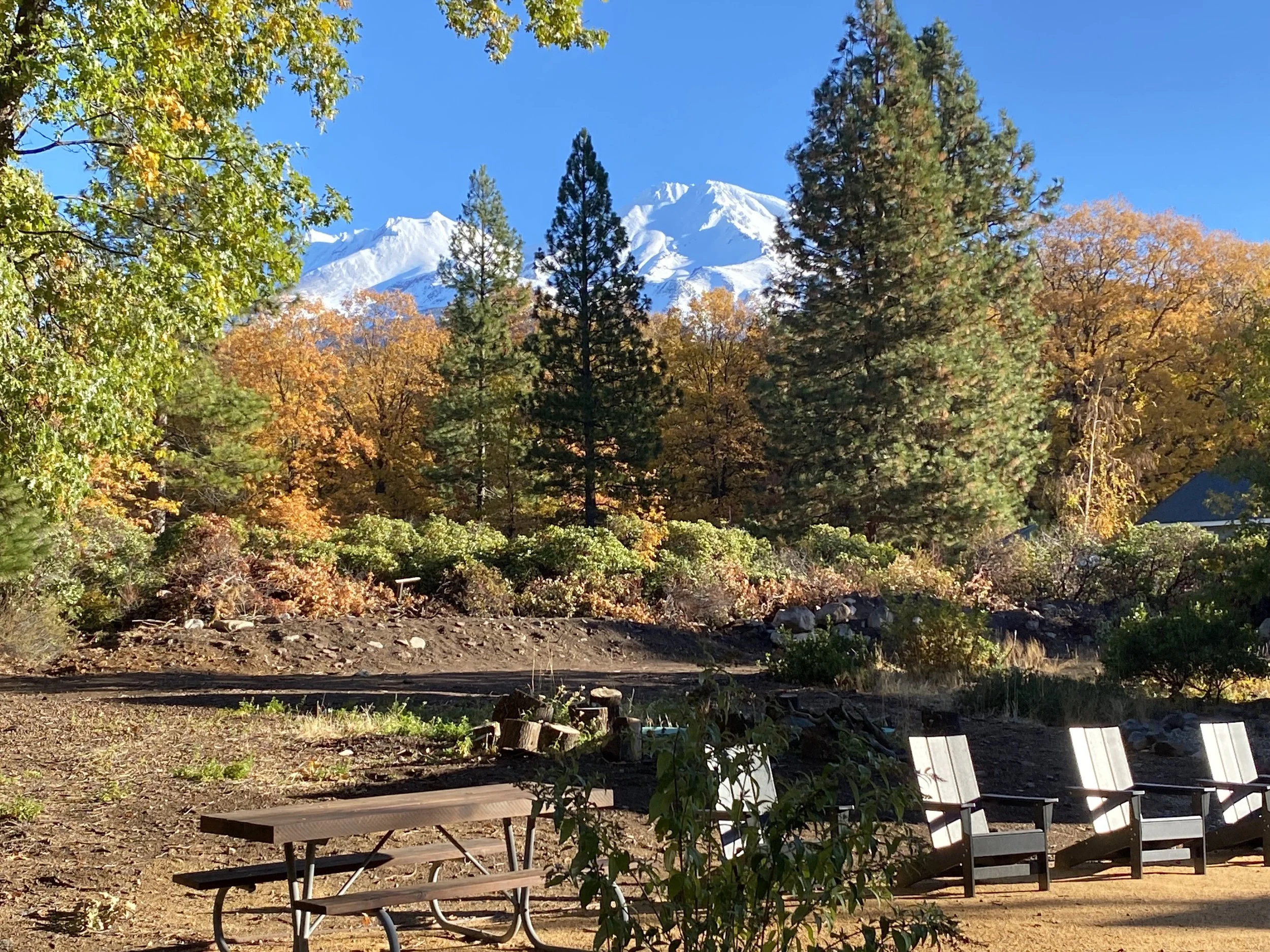 Cabin 7 Cabin Rentals in Mount Shasta, CA Basecamp Lodge