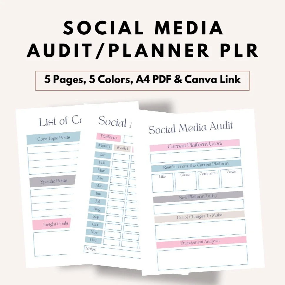 Social+Media+Audit+LinkPNG.jpg