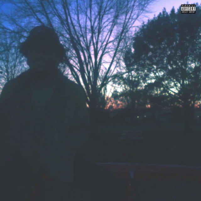 Silhouette of a person standing outdoors during sunset with bare trees in the background.