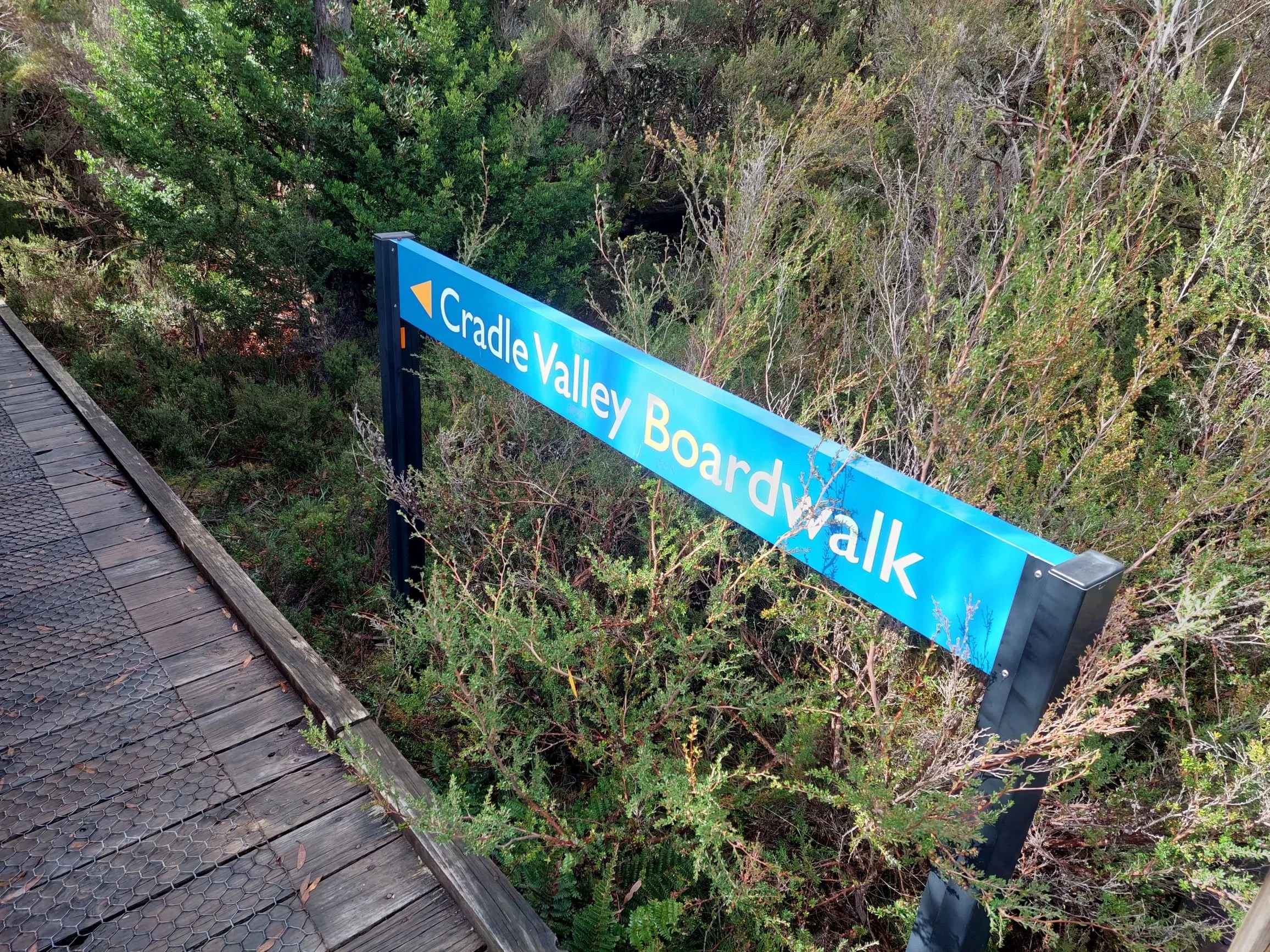 A blue sign that says 'Cradle Valley Boardwalk' is positioned along a wooden pathway surrounded by dense greenery and trees.