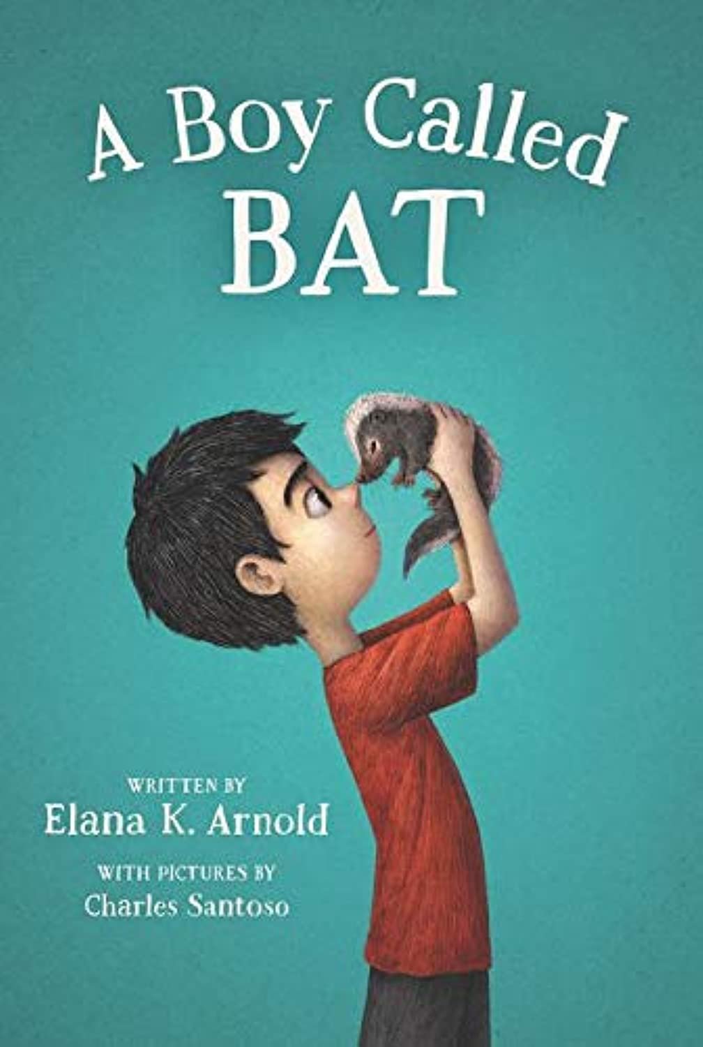 A Boy Called Bat (ToolKit)