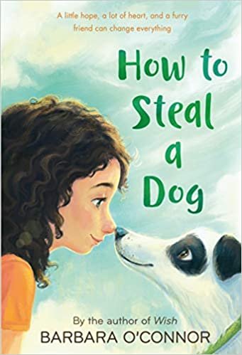 How To Steal A Dog (ToolKit)