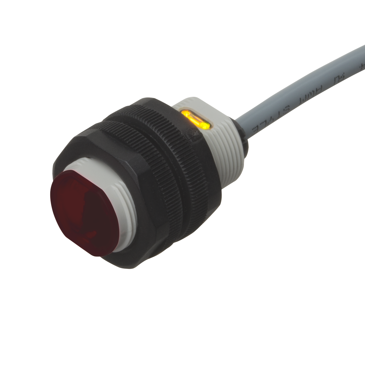 PA18CAT20xASA_12x12.png