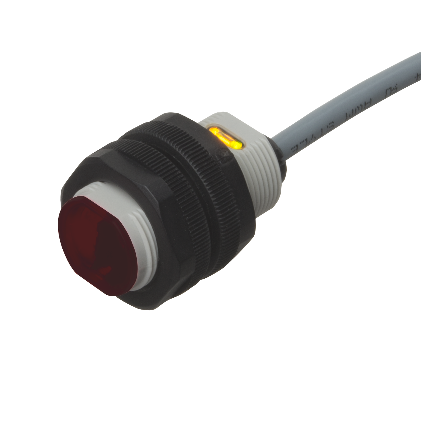 PA18CAT20xASA_12x12.png