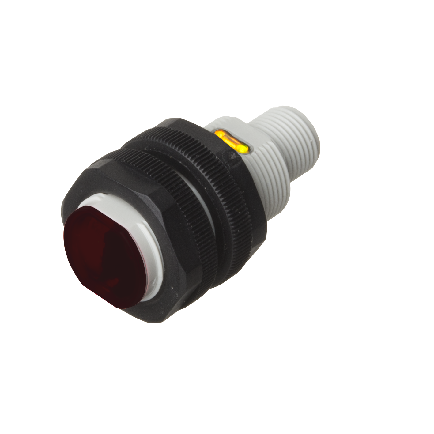 PA18CAT20xAM1SA_12x12.png