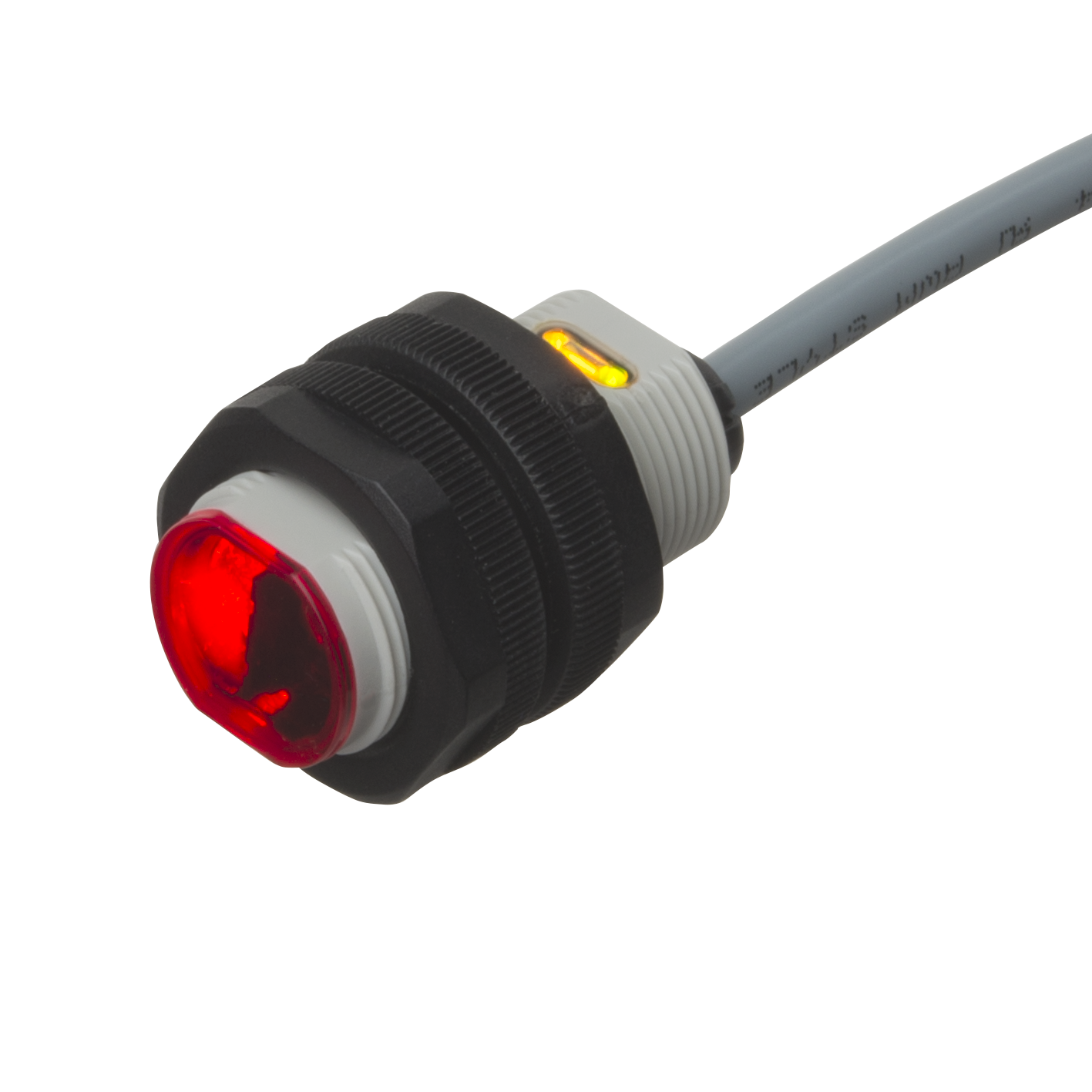 PA18CAD10xASA_12x12.png
