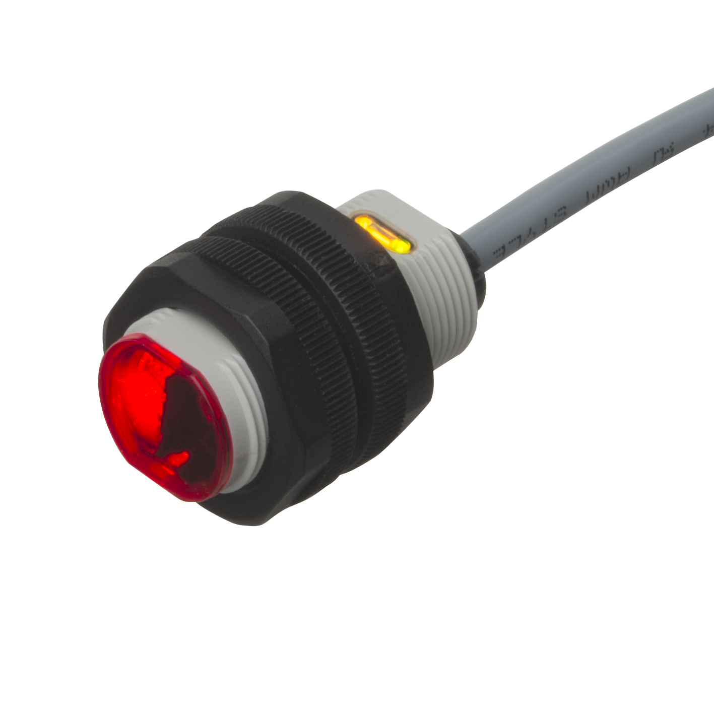 PA18CAD04xAWS_12x12.png