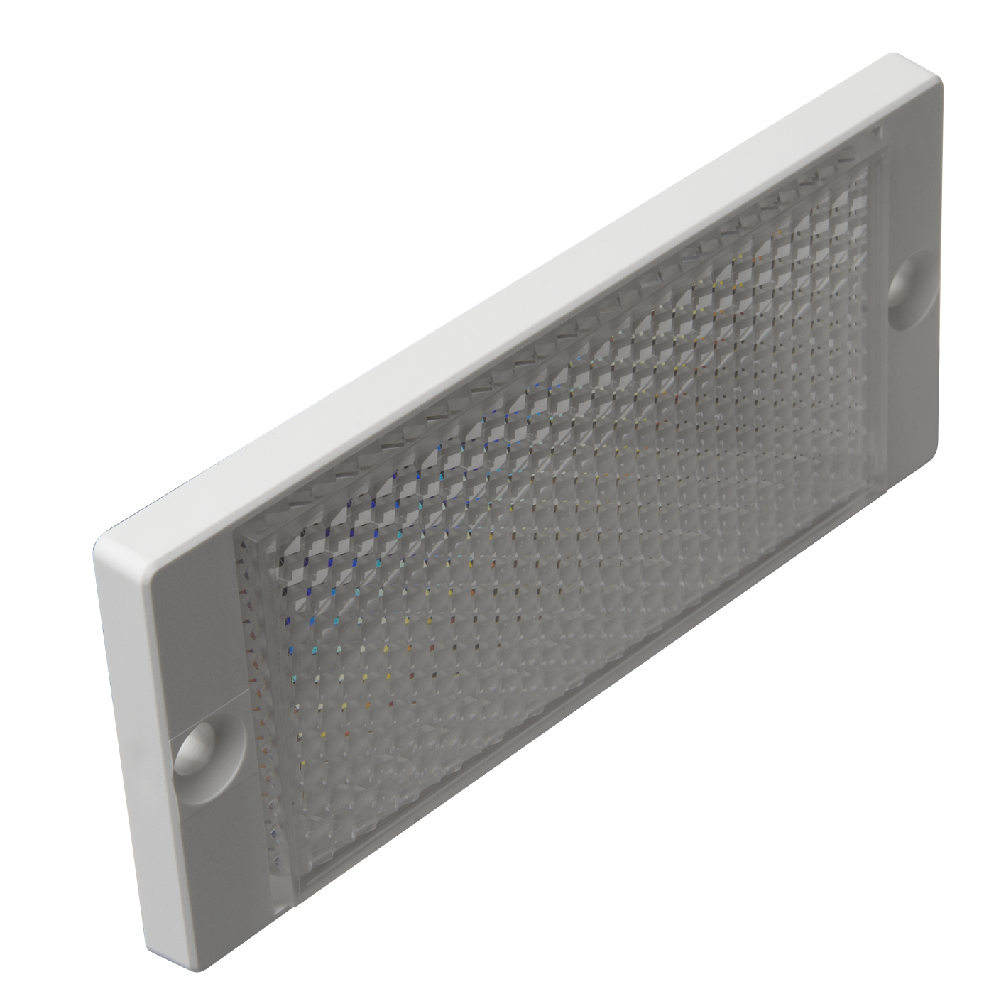 ER686_12x12.png