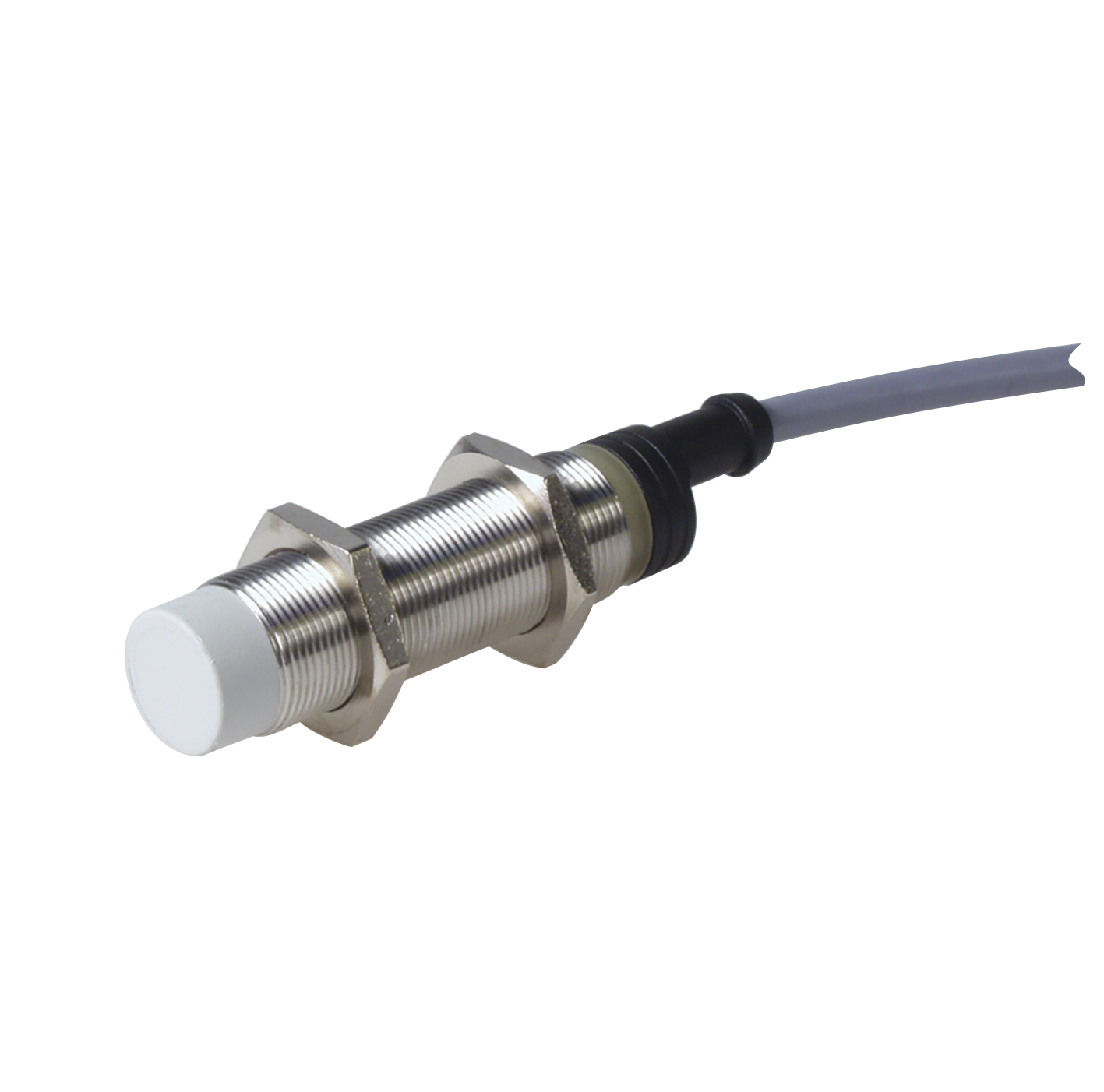 EI1808_P_SL.png