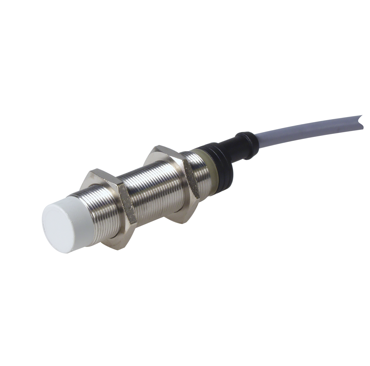EI1808_P_SL.png